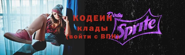 индика Верхний Тагил